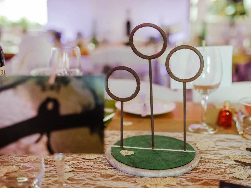 Harry-Potter-wedding-theme-Abbie-and-Brock-Holly-Collings-31